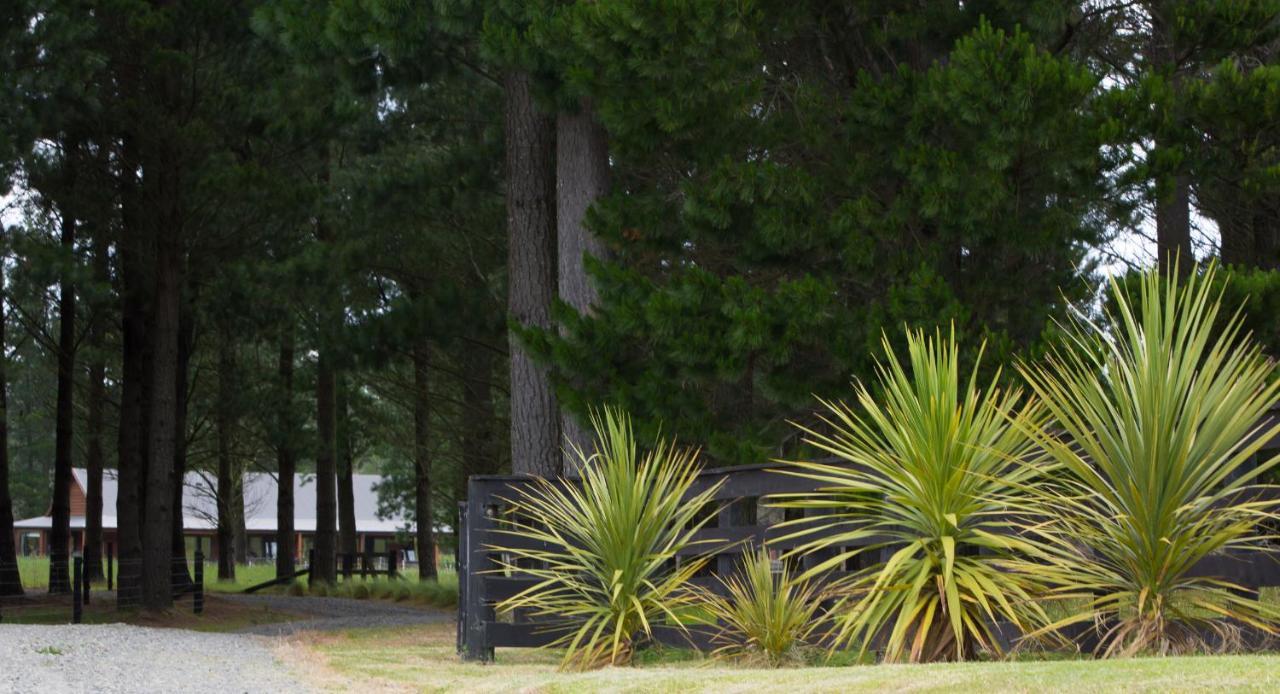 Woodbank Park Cottages Hanmer Springs Ngoại thất bức ảnh